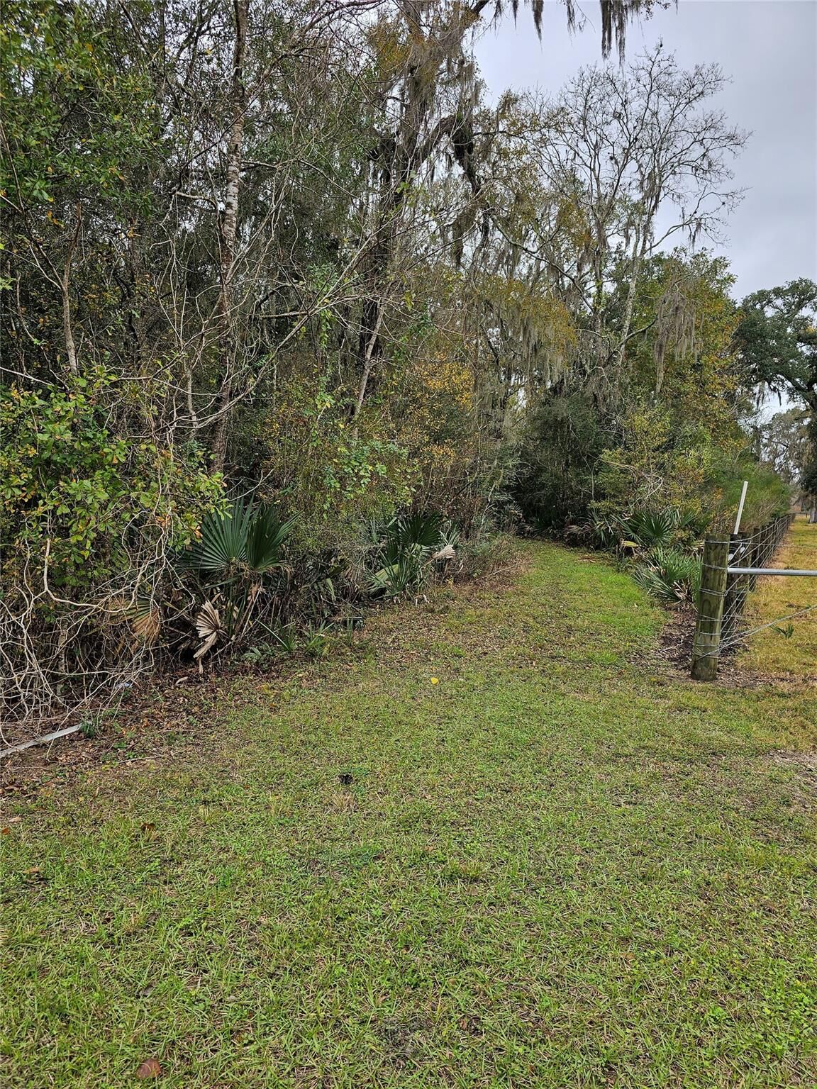 Property Photo:  1070 County Road 136 / Live Oak  TX 77482 