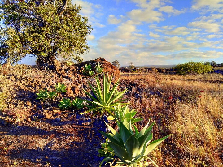 Property Photo:  92-8409 Lauhala Dr  HI 96737 
