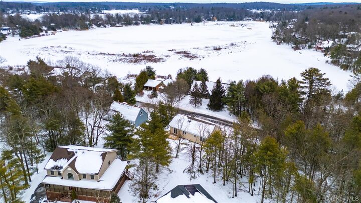 Property Photo:  15 Manchester Road  NY 12775 