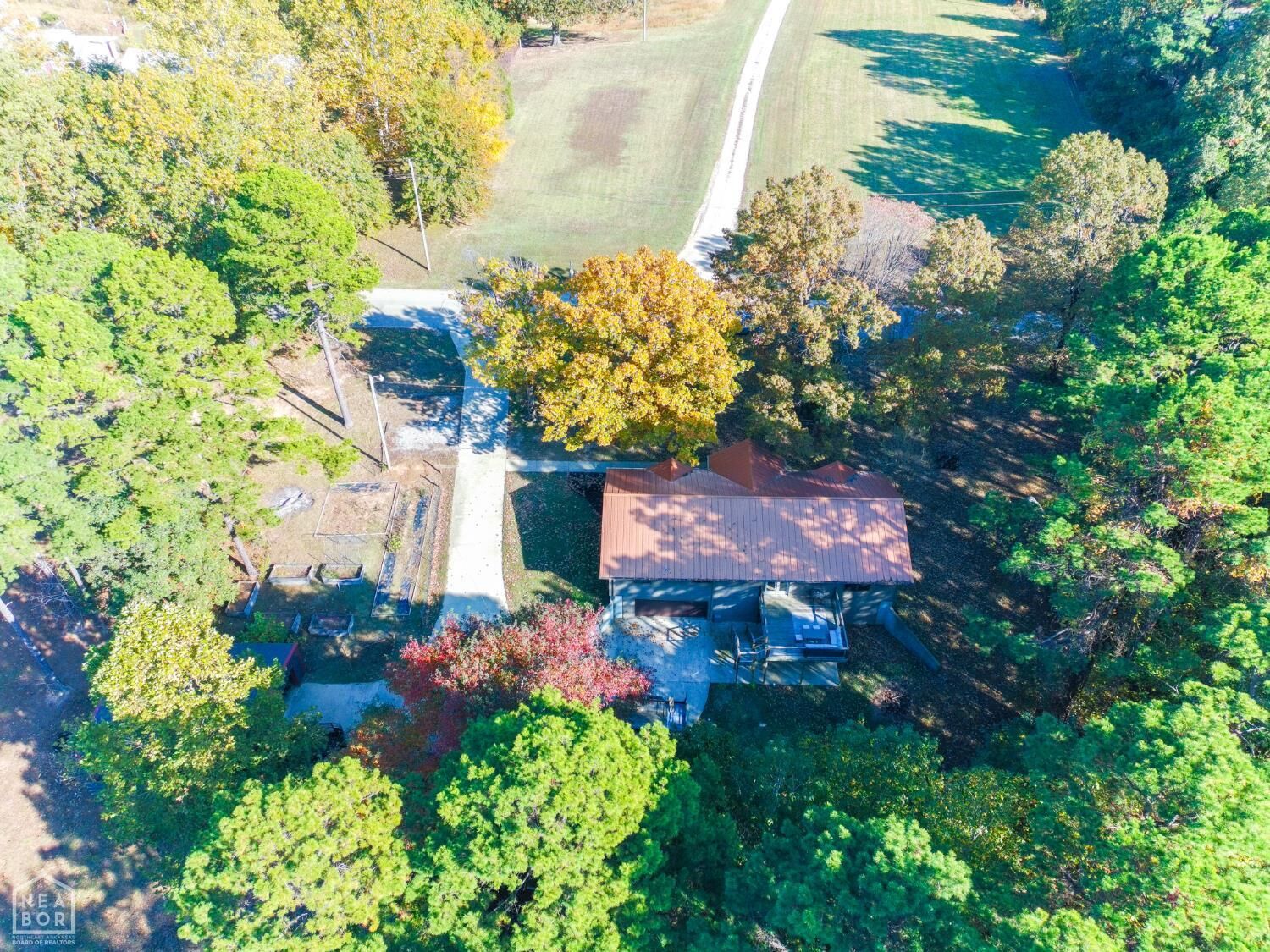 Property Photo:  164 Greene 704 Road  AR 72450 