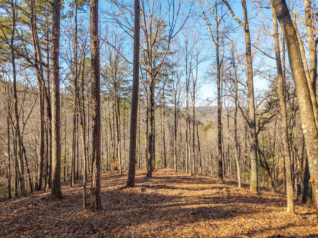 Property Photo:  1665 Hunter Drive  GA 30175 