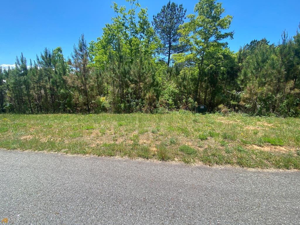 Property Photo:  Lot 55 Village Loop  GA 30512 