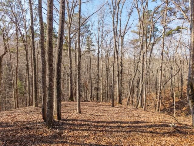 Property Photo:  1884 Finale Street  GA 30175 