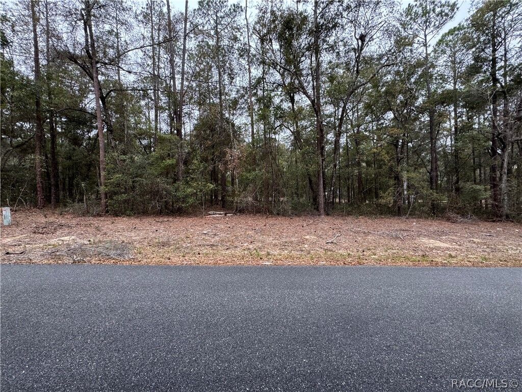 Property Photo:  10364 N Academy Drive  FL 34434 