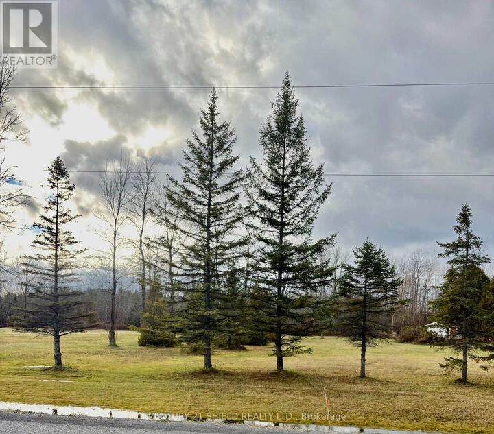 Property Photo:  0000 Dafoe Road  ON K0C 1M0 