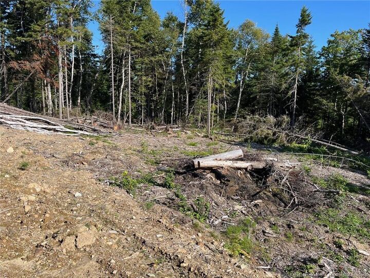 Photo de la propriété: 2021-1 Trailside Lane NB E3E 1S1