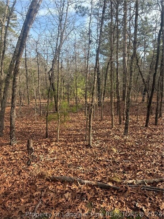 Property Photo:  0 Gully Branch Road  NC 28376 
