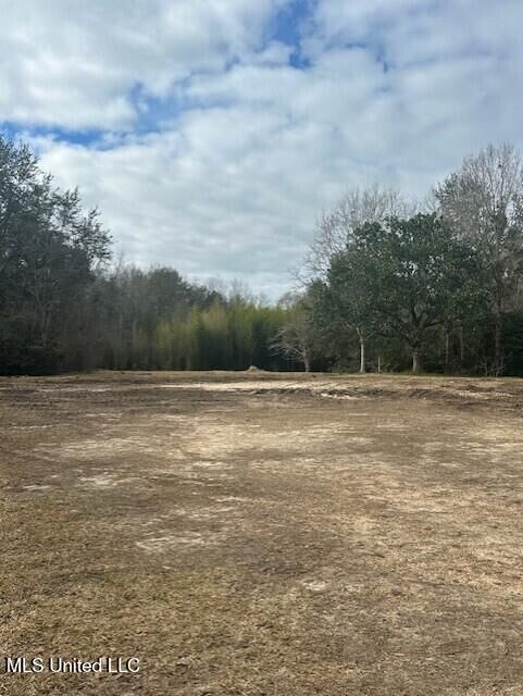 Property Photo:  Ms 53 Lot 2  MS 39503 
