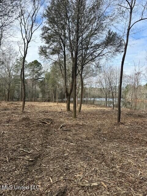 Property Photo:  Ms 53 Lot 3  MS 39503 
