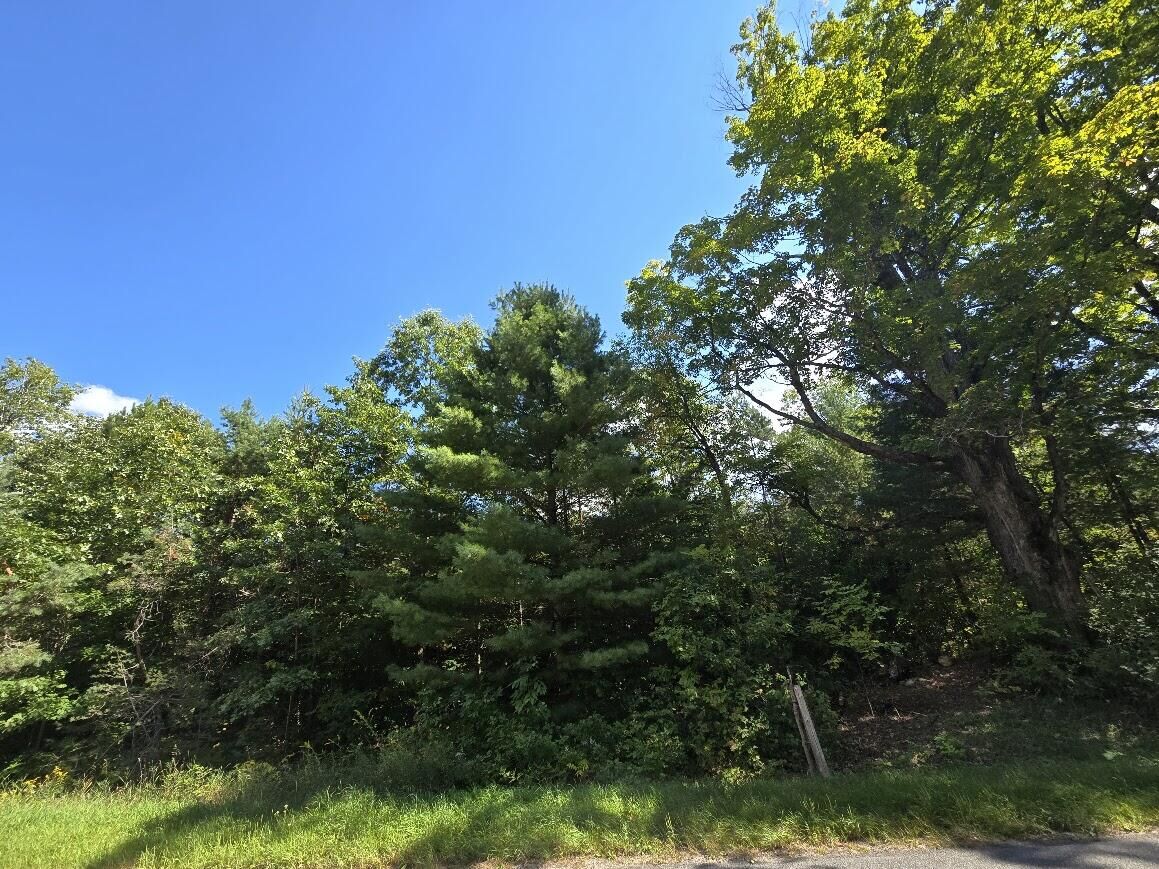 Property Photo: 00 N Hawkins Road MI 49656