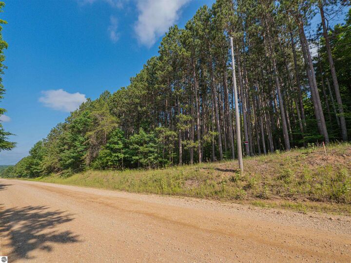 Property Photo: Vl W Phelps Road MI 49663