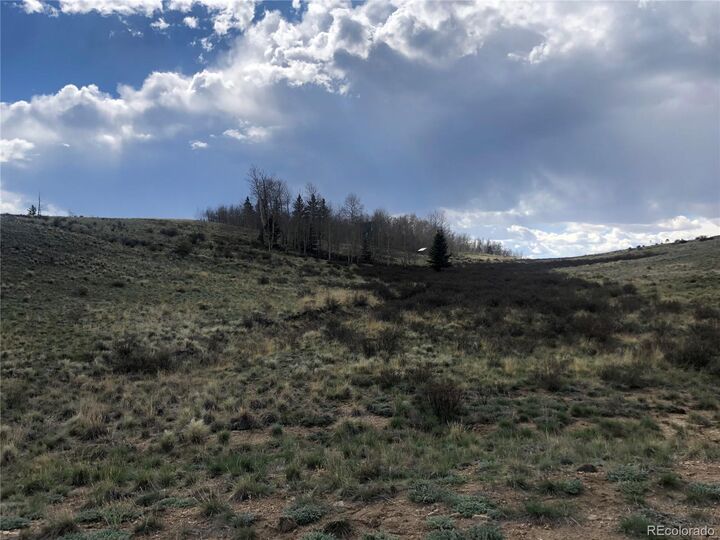 Property Photo: 252 Albino Road CO 80456