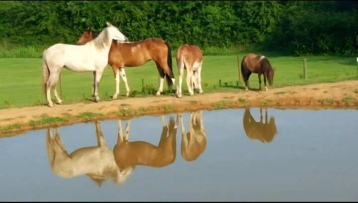 Property Photo: 840 Jordan Road TN 37322