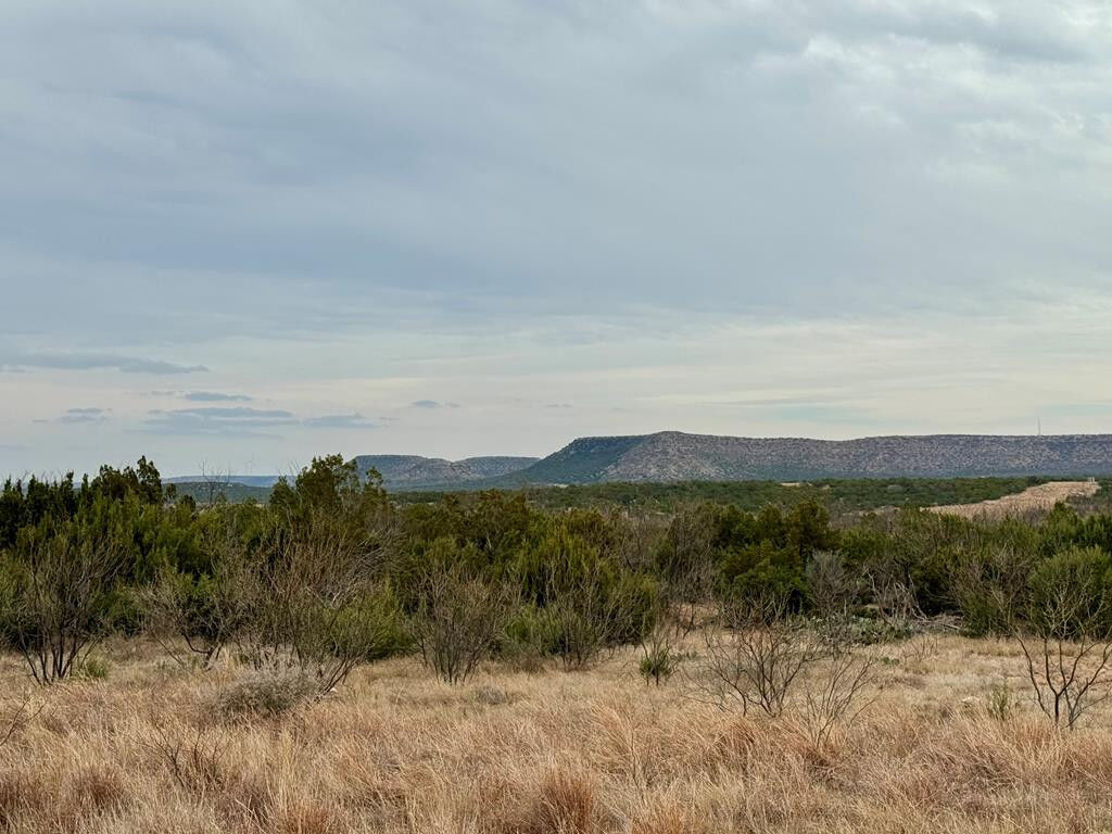 Property Photo:  537 Lone Mills Road  TX 76945 