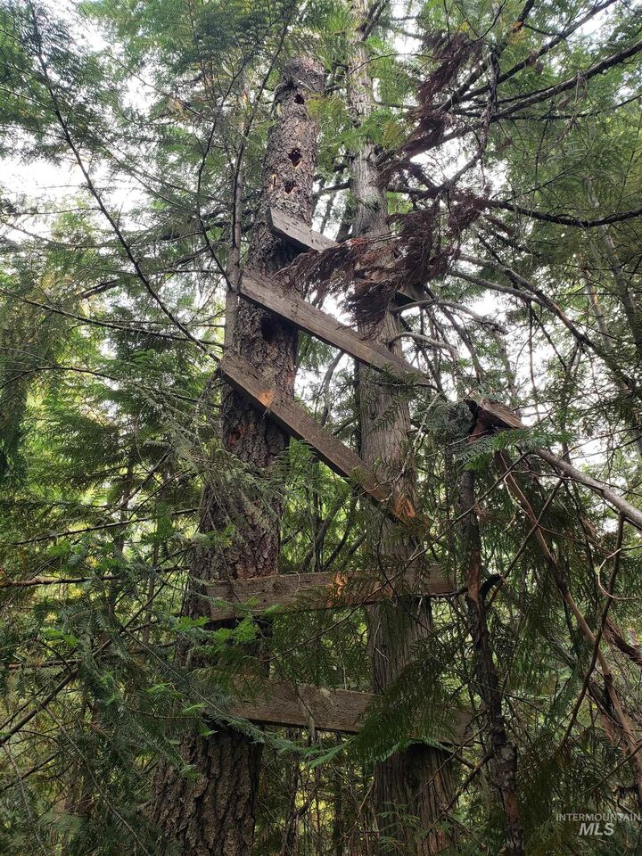 Property Photo:  80 E Ridge Dr.  ID 83861 