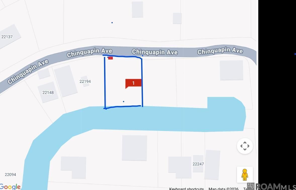 Property Photo: 22222 Chinquapin Ave LA 70449