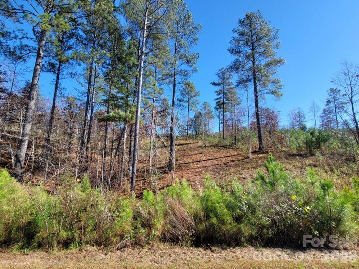 Property Photo: 2076 Island View Lane NE NC 28612