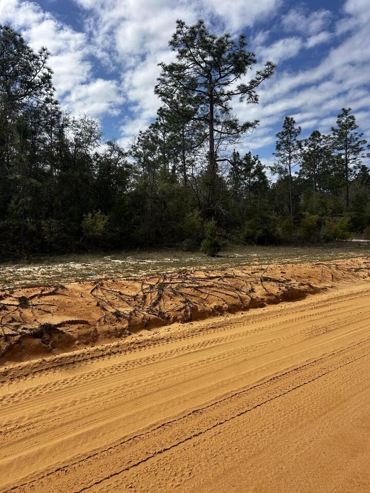 Property Photo:  Tbd Elkcam Boulevard  FL 32428 