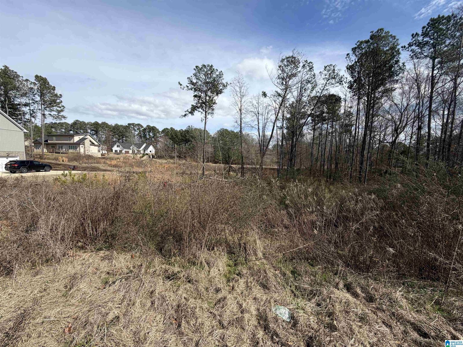 Property Photo:  1116 Baylor Court 66  AL 35128 