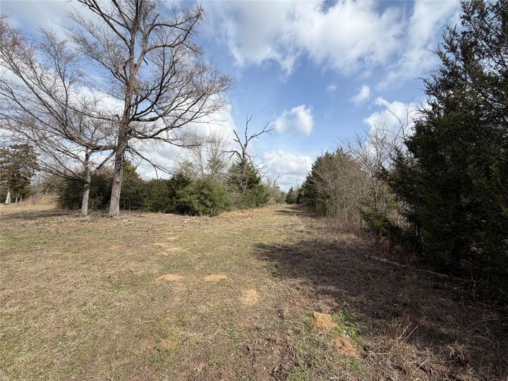 Property Photo: Lot 1 Cr 389 TX 75846