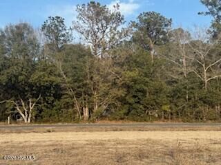 Property Photo: 120 Rough Horn Road NC 28438