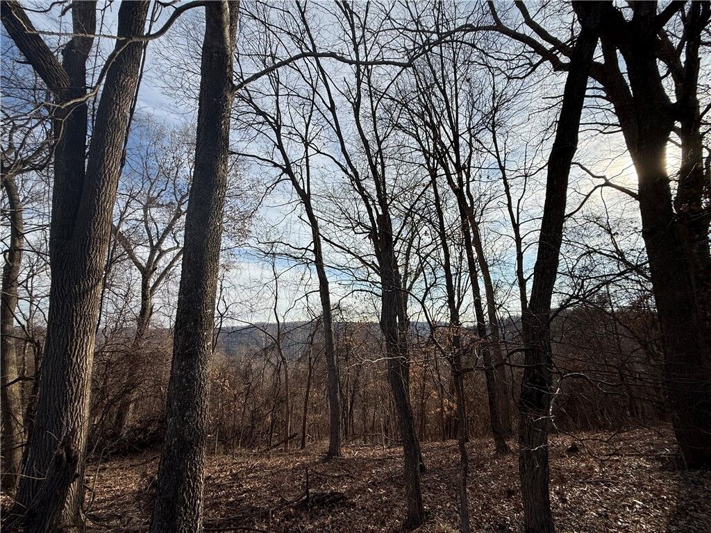 Property Photo:  258 Holiday Island Drive  AR 72631 