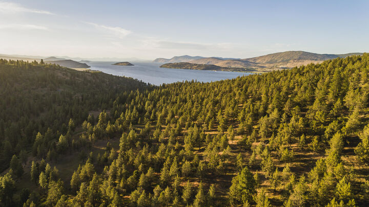 Property Photo: 829 Saddle Butte Drive OR 97601