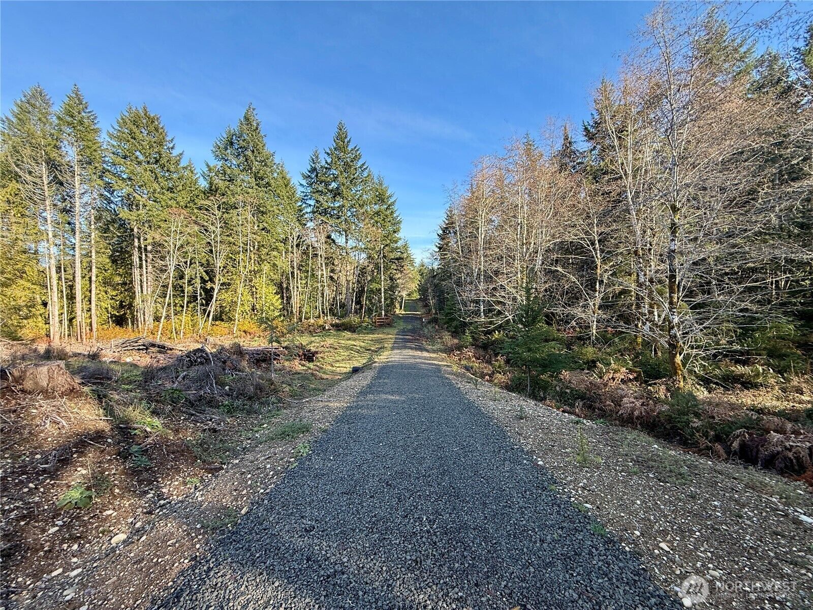 Property Photo:  260 E Solbakk Veien Road  WA 98584 