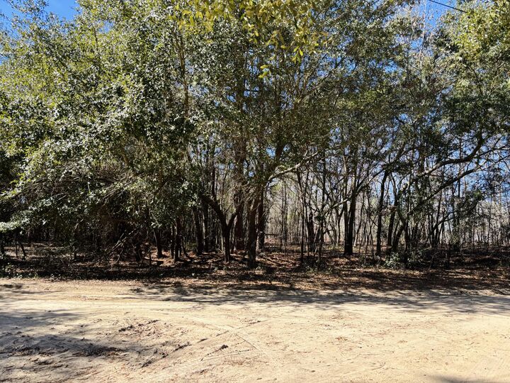 Property Photo: 0 Ripley Court SC 29047