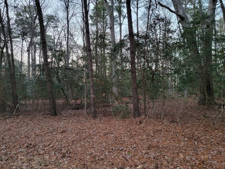 Property Photo: Lot 7A1 Wilsonia Shores Dr VA 23405