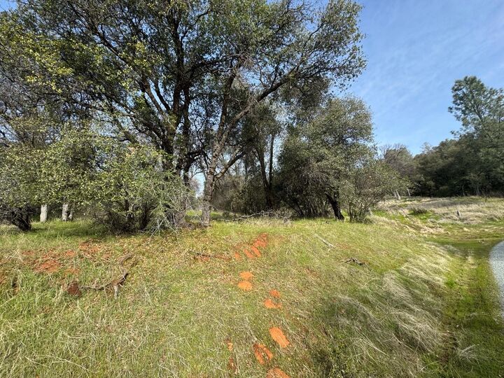 Property Photo:  0 Whitto Mine Rd  CA 95370 