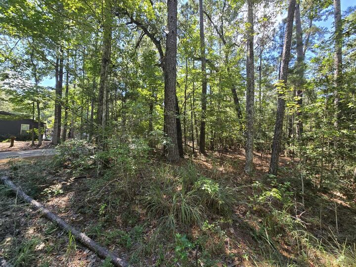 Property Photo:  R32815 Idlewood  TX 75931 