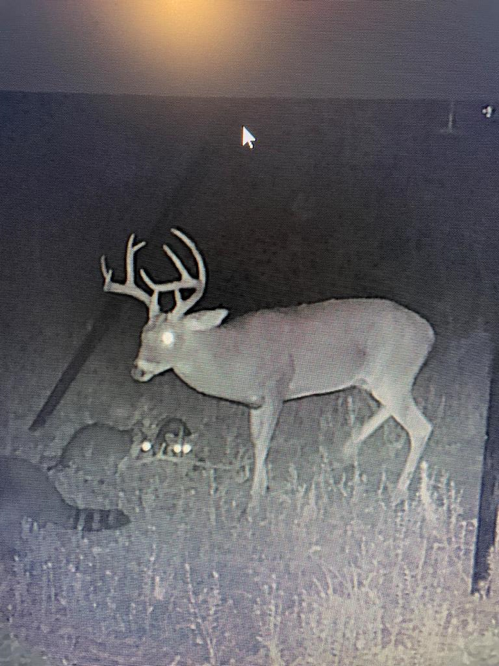 Property Photo:  1729 Neal Road  TX 75949 