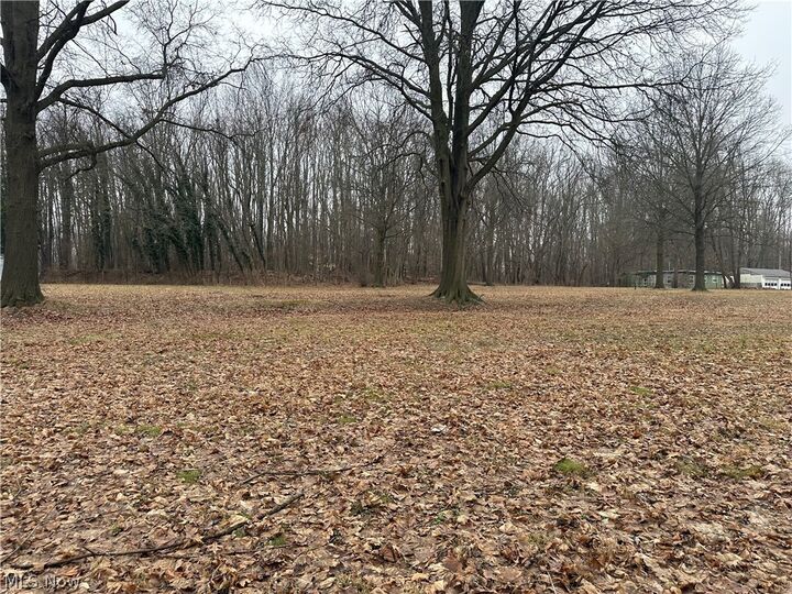 Property Photo:  V/L Ellet Avenue  OH 44312 