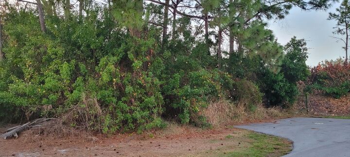 Property Photo: 1550 SE Sutton Street FL 34953