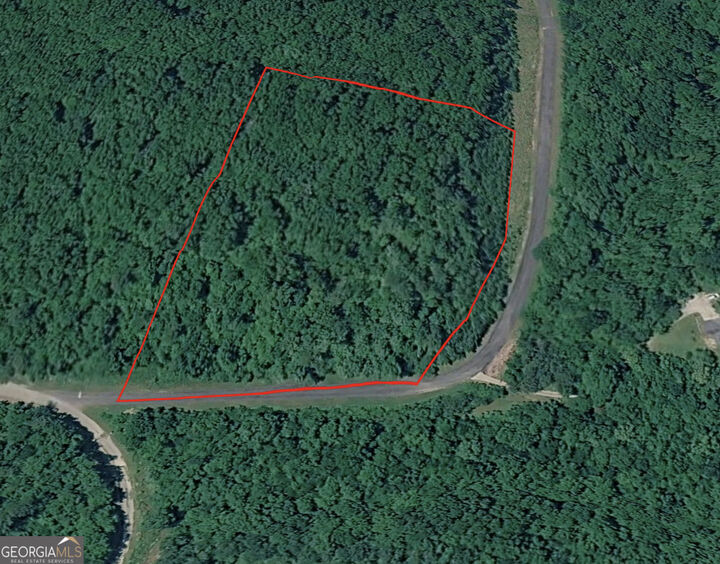 Property Photo:  0 Lookout View Drive  GA 30747 