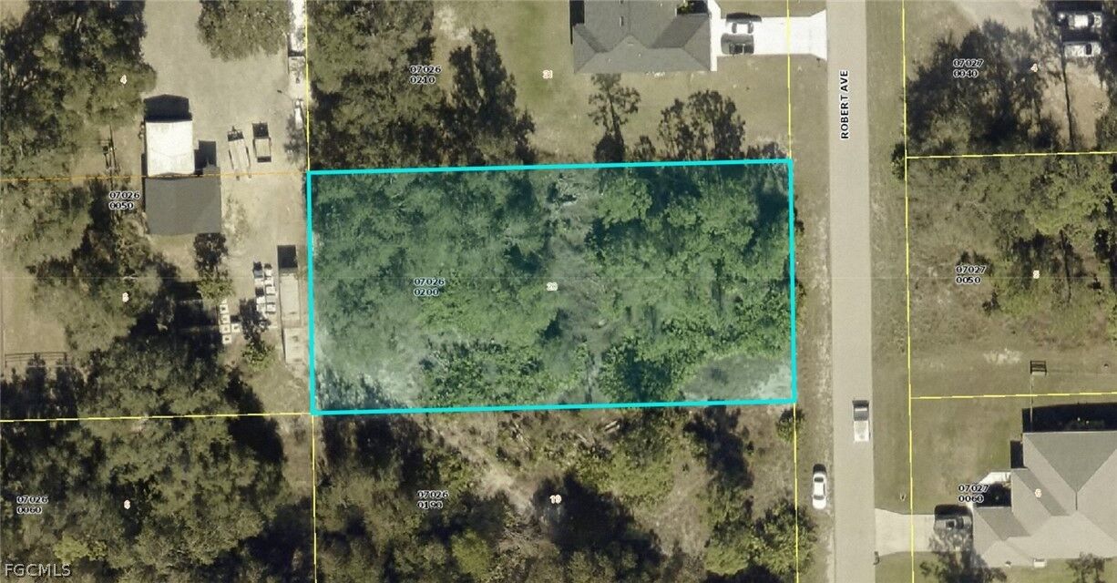 Property Photo:  2215 Robert Avenue  FL 33920 