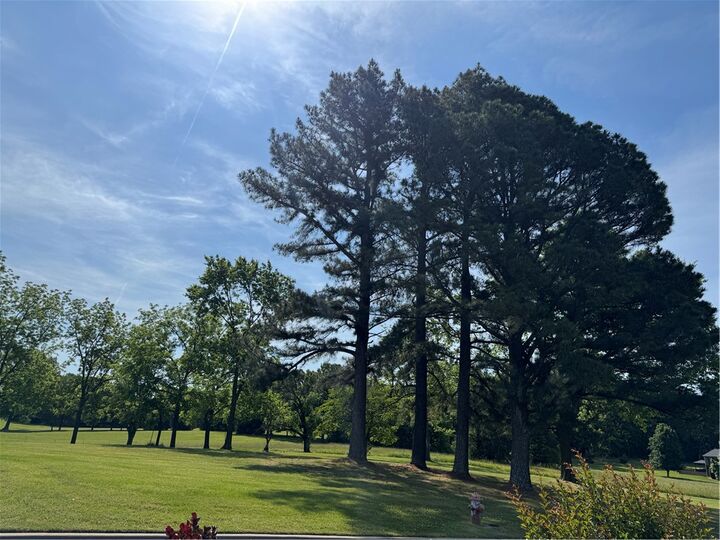 Property Photo:  3113 Savannah Drive  AR 72601 