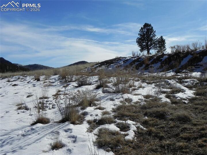 Property Photo:  277 Gold King Drive  CO 80813 