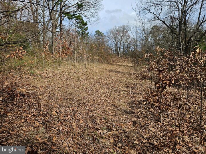 Property Photo:  255 Butler Road  VA 22405 