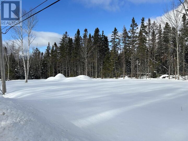 Property Photo:  0 Meadows Road  NS B1L 1A1 