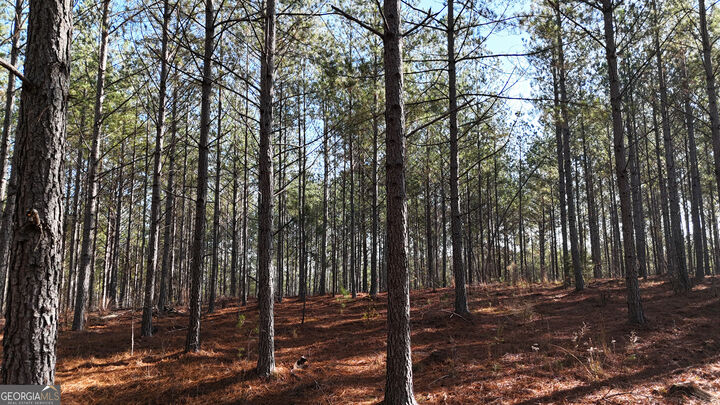 Property Photo: 0 Gaylor Road GA 30730