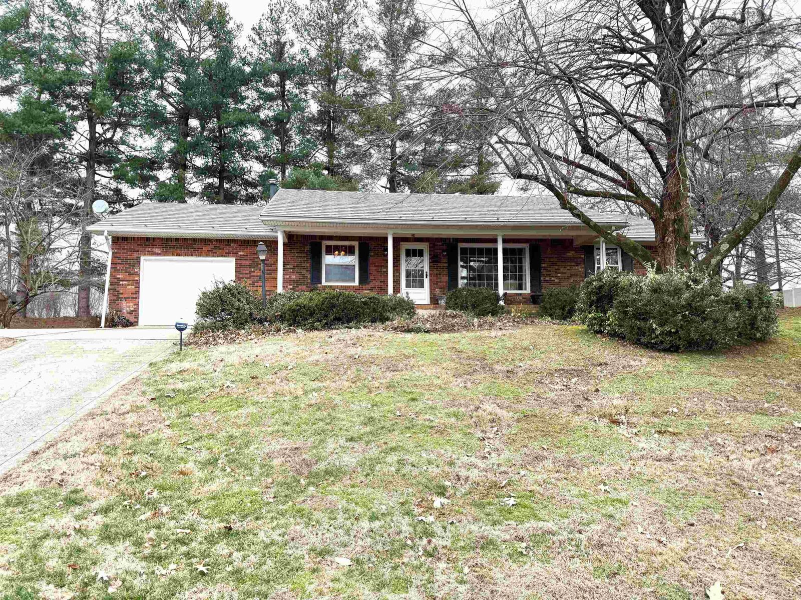 Property Photo:  54 Bourland Ave  KY 42409 