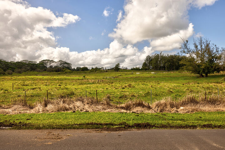 Property Photo:  2370 Ainaola Dr  HI 96720 