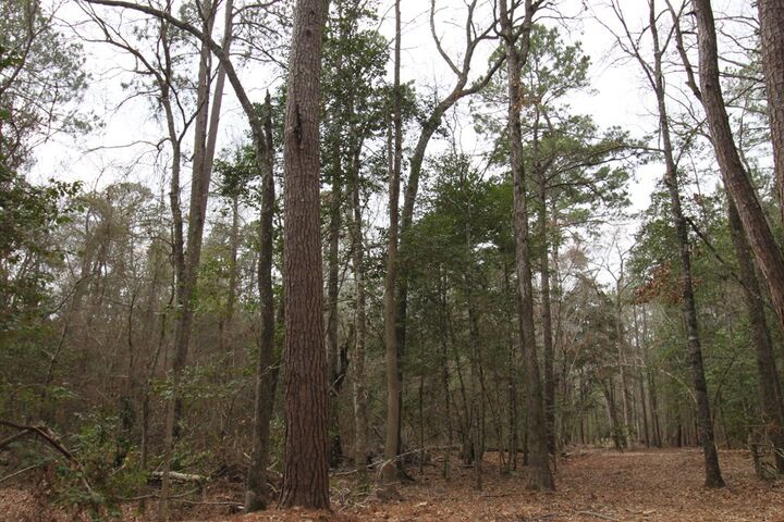 Property Photo: R 12227 Plantation Drive TX 75901