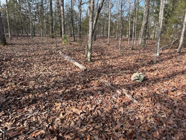 Property Photo:  Tract 1 Mc 8003  AR 72687 