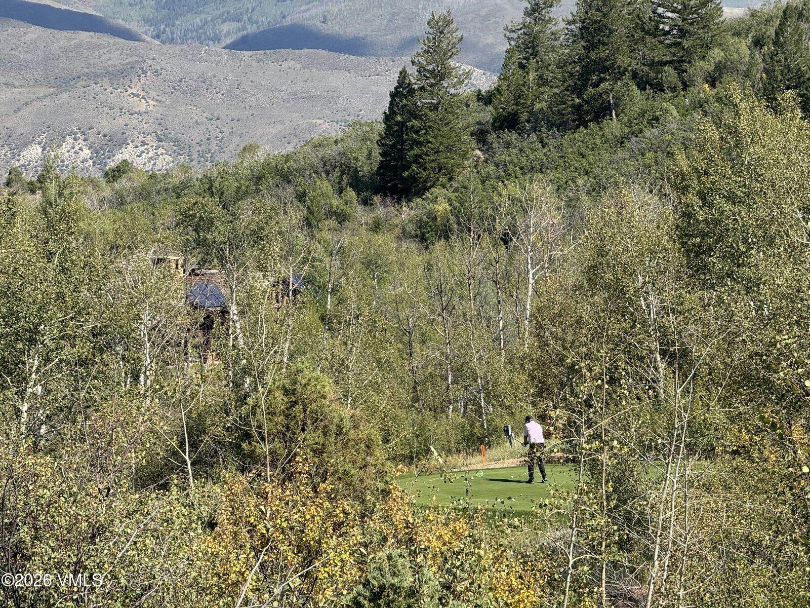 Property Photo:  217 Saddle Rock  CO 81655 