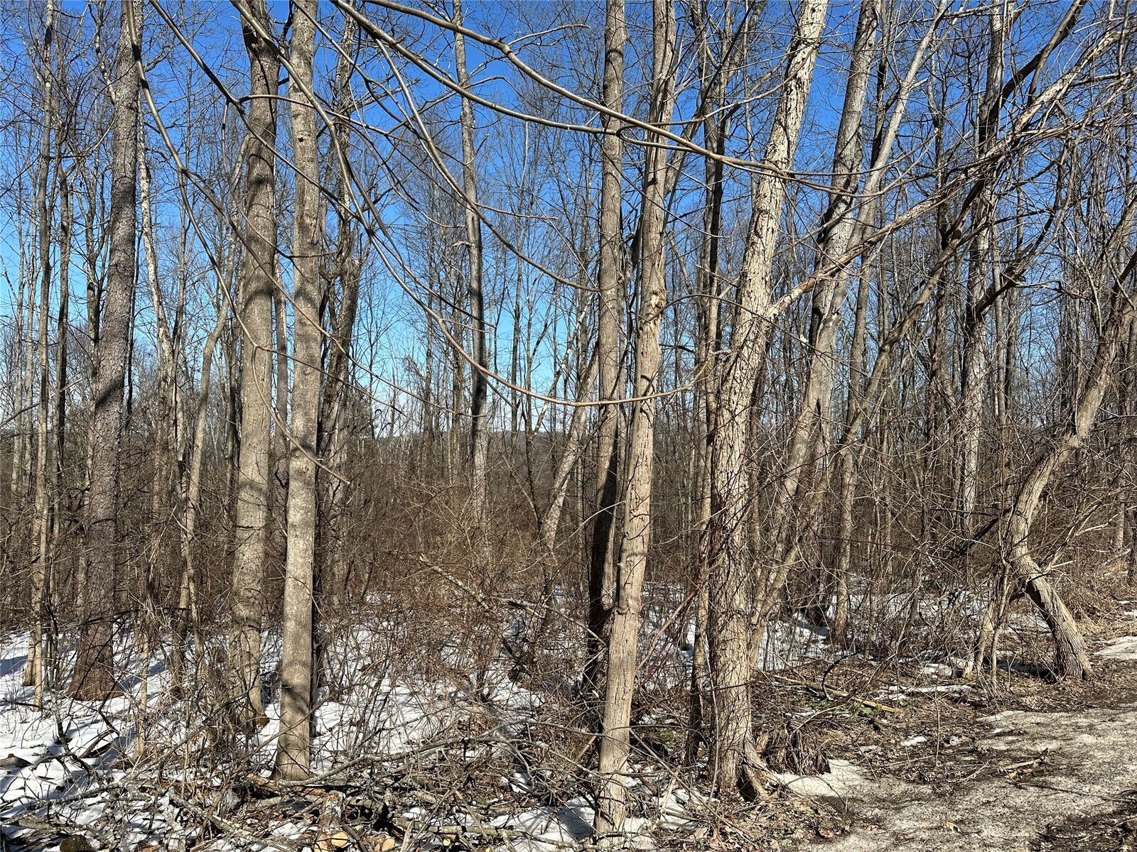 Property Photo:  45 Airport Road  NY 13901 