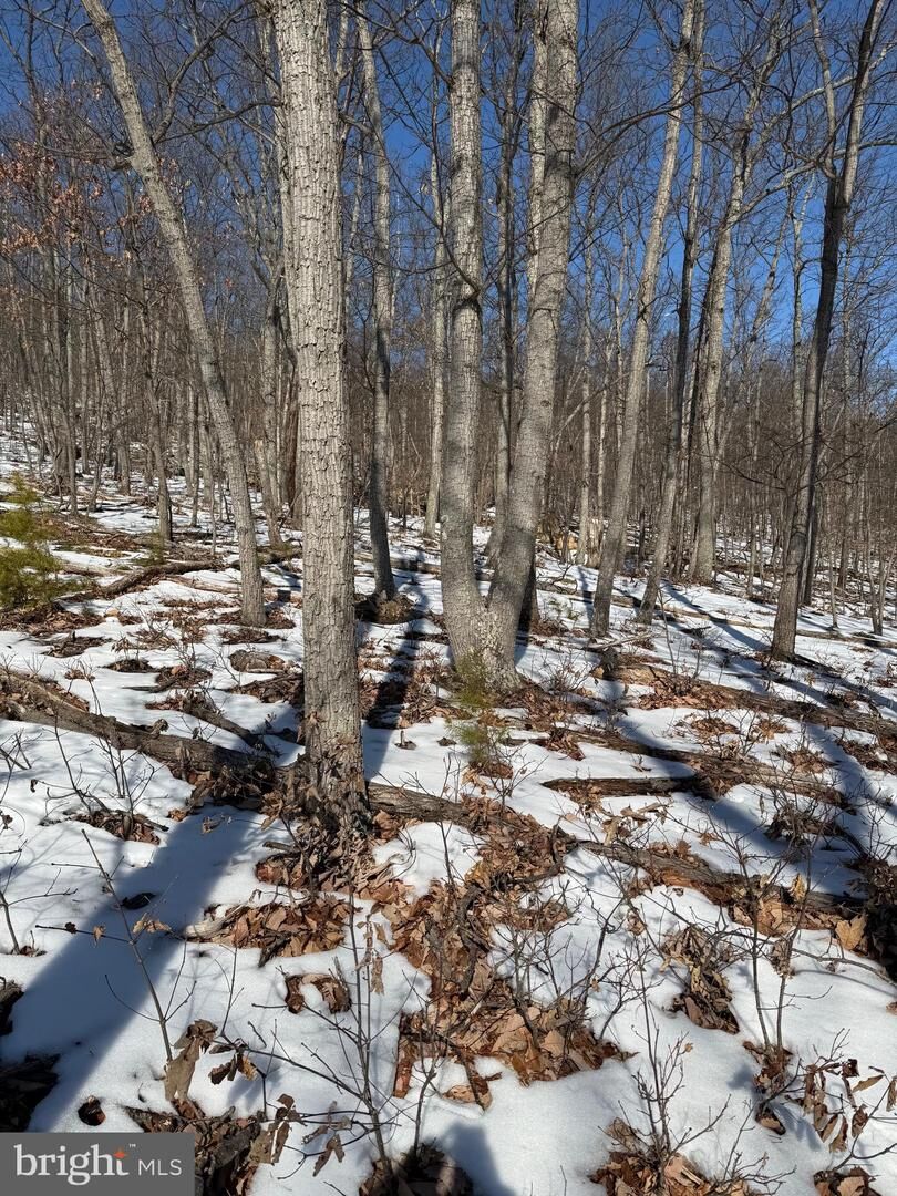 Property Photo:  1706 Mercer Road  VA 20169 