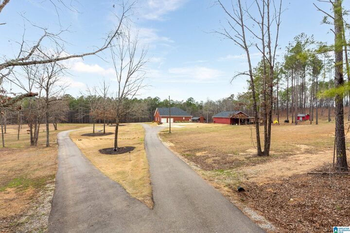 Property Photo: 253 Kenyon Drive AL 36271